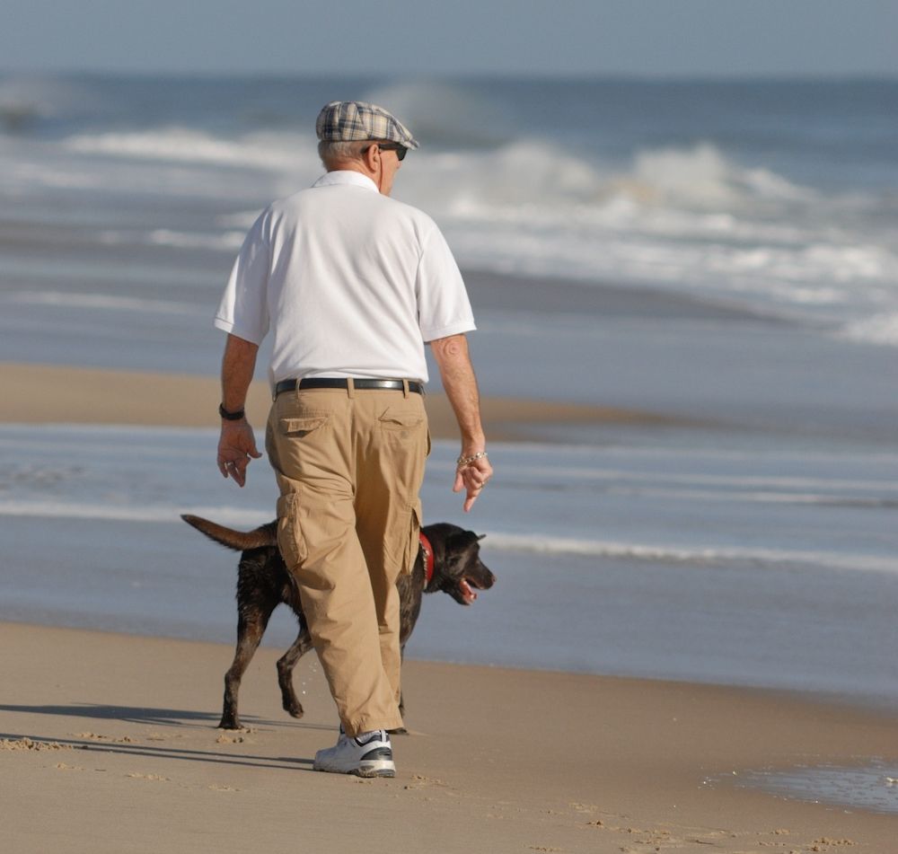 Editorial: November 11, 2022